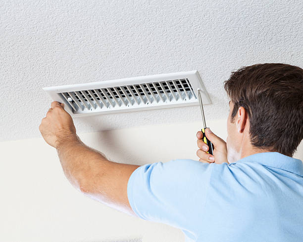 Best Mold-Related Health Consultation  in Mount Sterling, KY