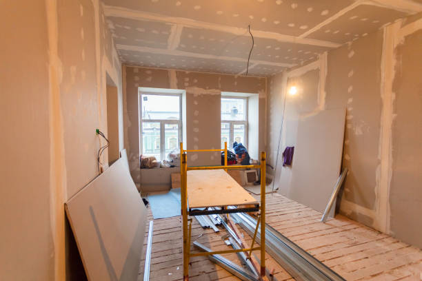 Best Forensic Mold Investigation  in Mount Sterling, KY